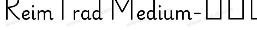 ReimTrad Medium字体转换